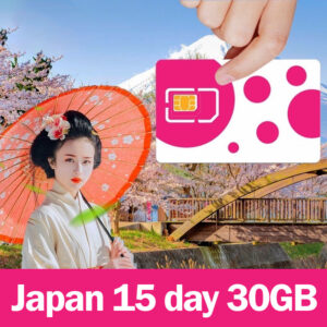 30gb japan tourist data card