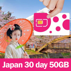 japan large data sim card